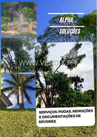 Alpha soluções serviços de jardinagem e paisagismo