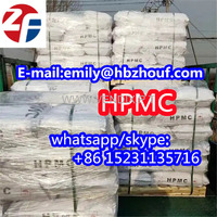 top HPMC Hypromellose high purity 99% cas 9004-65-3