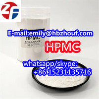 top HPMC Hypromellose high purity 99% cas 9004-65-3