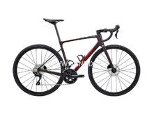 2024 Giant Defy Advanced 2 Road Bike