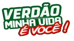 Canal Verdão MVVC