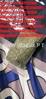 For Sale online Low-priced, ready to use peptides for immediate delivery Cancer Peptides