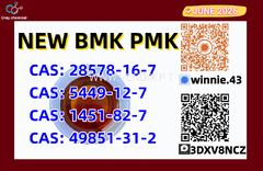 Product of high quality CAS5449-12-7 BM.K 28578-16-7 PM.K