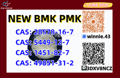 Product of high quality CAS5449-12-7 BM.K 28578-16-7 PM.K