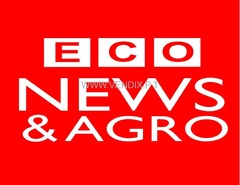 PORTAL ECO NEWS & AGRO