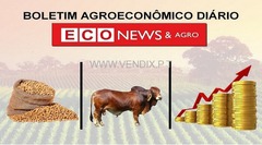 PORTAL ECO NEWS & AGRO