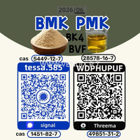 Cas 5449-12-7 BMK  Glycidic Acid sodium salt  Powder  Yellow High Yield  28578-16-7