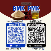 Cas 5449-12-7 BMK  Glycidic Acid sodium salt  Powder  Yellow High Yield  28578-16-7