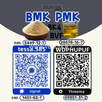 Cas 5449-12-7 BMK  Glycidic Acid sodium salt  Powder  Yellow High Yield  28578-16-7