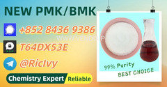 Worldwide Trading Vendor 28578-16-7 Powder 5449-12-7 P.MK Oil