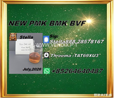 Reliable Raw Material Source New PM.K cas 28578-16-7/ BM.K CAS:5449-12-7/ 
