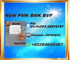Reliable Raw Material Source New PM.K cas 28578-16-7/ BM.K CAS:5449-12-7/ 
