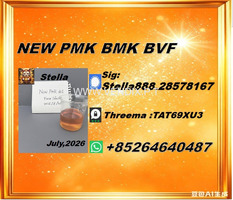 New PM.K 28578-16-7/ BM.K CAS:5449-12-7/ End-to-End Service