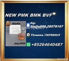 New PM.K 28578-16-7/ BM.K CAS:5449-12-7/ End-to-End Service