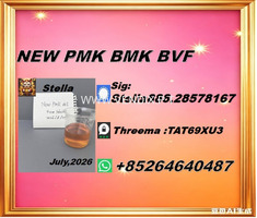 Trade Excellence New PM.K 28578-16-7/ BM.K CAS:5449-12-7/