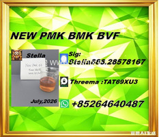 Trade Excellence New PM.K 28578-16-7/ BM.K CAS:5449-12-7/
