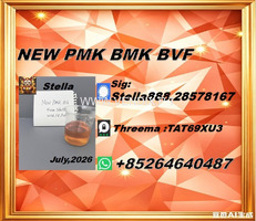 Trade Excellence New PM.K 28578-16-7/ BM.K CAS:5449-12-7/