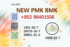 cas 5449-12-7 / 28578-16-7 PMK powder 1451-82-7/ 49851-31-2 BMK BK4 BVF with high purity