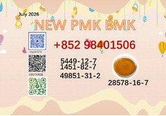 BMK powder cas 28578-16-7 aligned together with cas 5449-12-7/ 1451-82-7 /49851-31-2 PMK