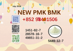 New PMK BMK 28578-16-7/5449-12-7 powder 1451-82-7