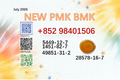 CAS 5449-12-7 BMK CAS 28578-16-7 channels PMK hot sale
