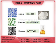 PMK CAS 28578-16-7 PMK Chemical raw materials CAS 5449-12-7
