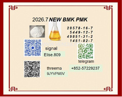 BM K 5449-12-7 Supplier High Purity 28578-16-7 PMK