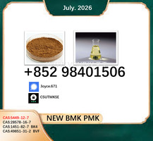 28578-16-7 BK4 5449-12-7 BMK PMK BVF honest supplier hot sale