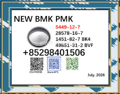 5449-12-7 / 28578-16-7 BMK PMK chemical original materials