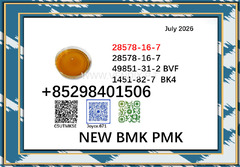 28578-16-7 BMK oil cas 5449-12-7 PMK powder 1451-82-7 for selling