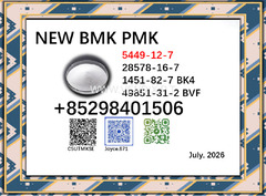 CAS 5449-12-7 and 28578-16-7 BMK PMK powder factory supply with high quality