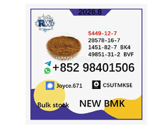 High Quality PMK Oil CAS 28578-16-7 Chemical Manufacturer