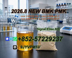 PMK Oil Powder CAS 28578-16-7 & BMK CAS 5449-12-7 | Specialty Chemical Supplier