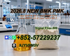 PMK Oil  CAS 28578-16-7 | Reliable Global Chemical Supply & Logistics