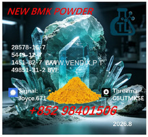 Buy BMK  Glycidic Acid CAS No. 5449-12-7 | High Quality Chemical Material