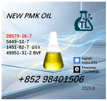 Proven Quality Producer 5449-12-7 BMK PMK 28578-16-7