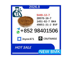PMK Oil 28578-16-7/ Innovating Every Molecule /5449-12-7