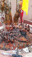 +2348167256910 #join secrets occult for money rituals power and fame