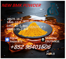 Verified Supplier for CAS 5449-12-7 / BMK /Reliable Quality and Service