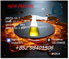 New PMK 28578-16-7/ BMK CAS 5449-12-7/ manufacturer-level chemical
