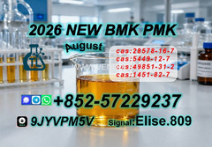 Premium BMK Glycidic Acid CAS 5449127 Trusted Supplier 28578-16-7