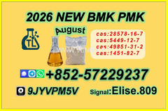 Available New PM.K cas 28578-16- 7 Chemical raw materials