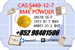 Certificated BMK 5449-12-7 Sodium Salt Factory Supply