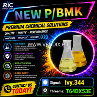 New 5449-12-7 BM.K Powder 28578-16-7 P.MK Oil Doorstep Service