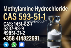 Buy High Quality CAS 593-51-1 Methylamine Hydrochloride at Best Price