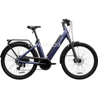 Segway Myon Electric Bike