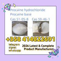 Good Quality Of 59-46-1 Procaine Base Factory Manufacturer Supplier